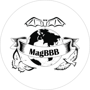 MagBBB Research Group